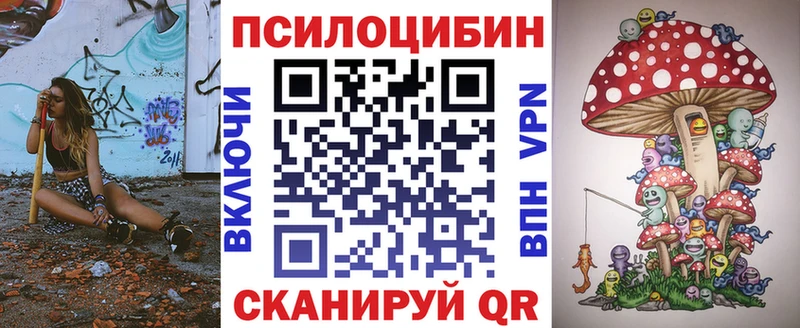 закладка Сухиничи Псилоцибиновые грибы Psilocybe